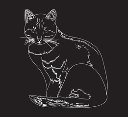 Graphic handwritten cat. Vector