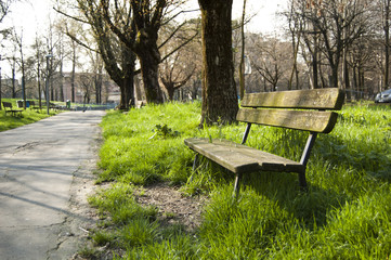 Fototapeta premium loneliness bench in Spring Park