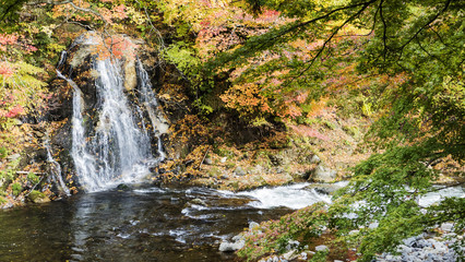 Fototapeta premium Fudo stream and the red bridge at Mount Nakano-Momiji