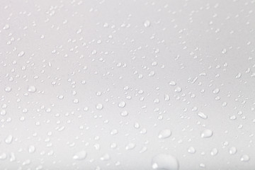 Drops of water on a color background. Gray. Shallow depth of fie