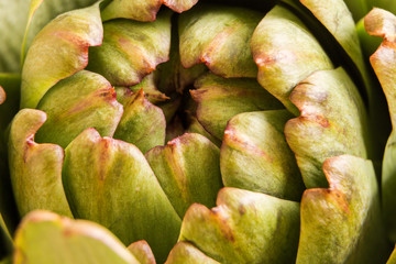 Fresh artichoke macro shot with natural light