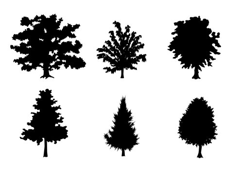 Six trees silhouettes