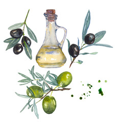 Olive oil set. Olive branch. The branches of the olive tree. Watercolor painting. Can be used for postcards, prints and design  