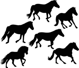 six running black horses on white
