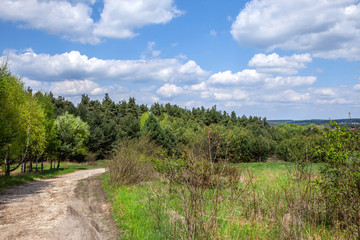 Fototapeta na wymiar Rural road through the forest.