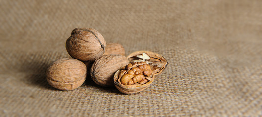 Walnuts on a burlap sack. Walnut kernels and whole walnuts on burlap 