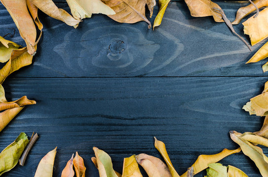background of freame dry leaf on black wooden