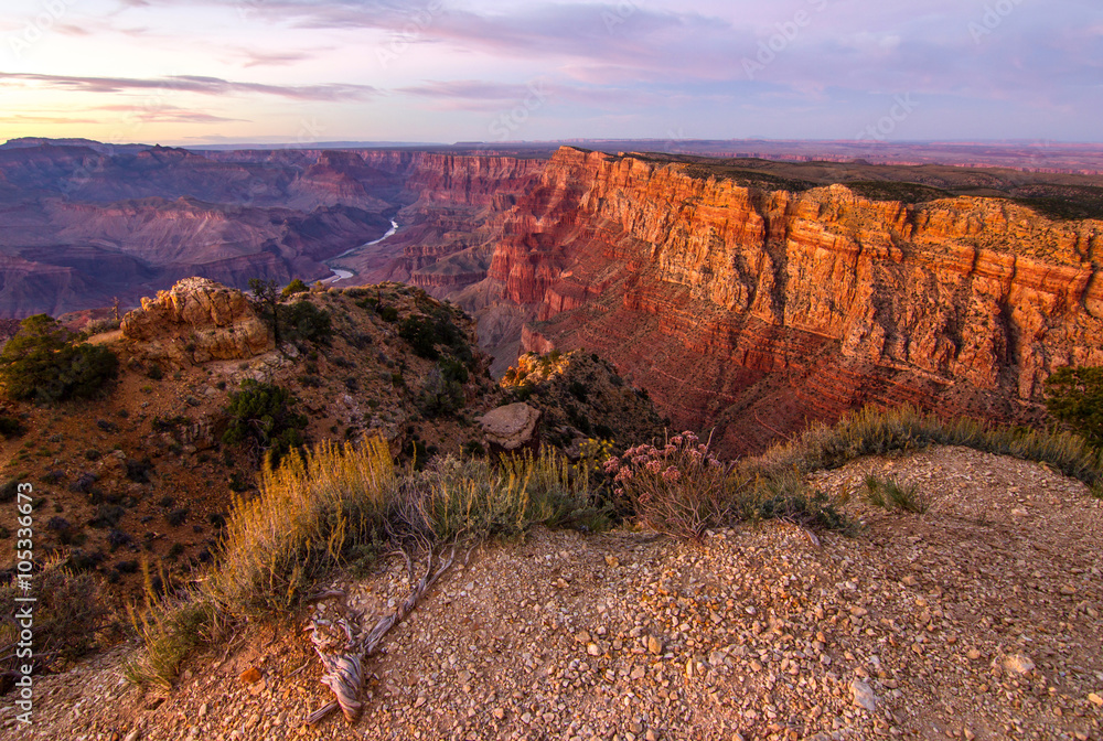 Canvas Prints grand canyon