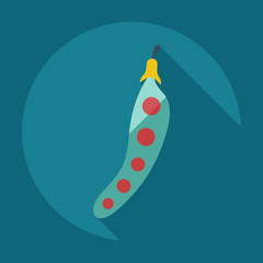 Flat modern design with shadow icons beans