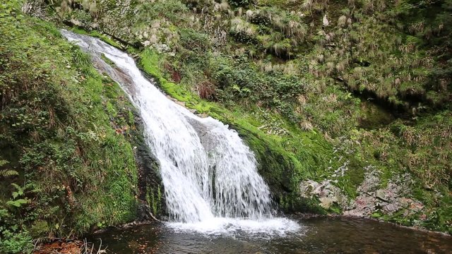 Triberg Waterfalls - Germany