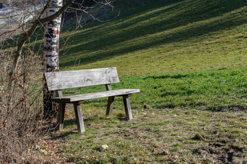 panchina nel bosco