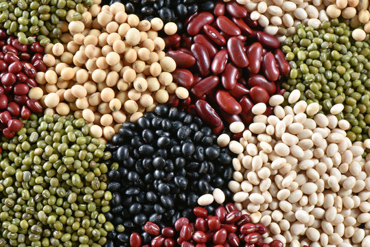 Five color bean background