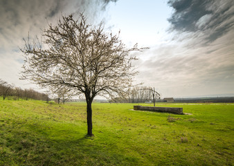 Obraz premium shadoof on the field