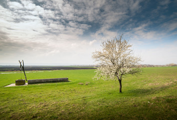 shadoof on the field