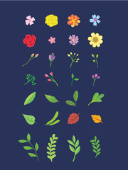 Set of Mix flowers and leaf 