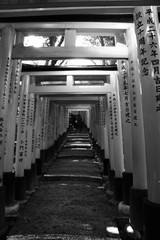 伏見稲荷大社の千本鳥居