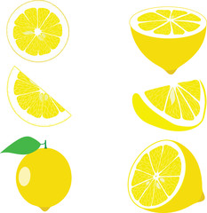 Lemon, lemon slices, set of lemons, vector illustrations - 105345463