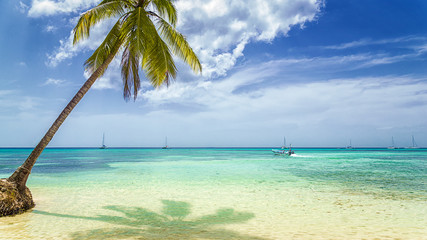 Palme am Sandstrand mit Fischerboot