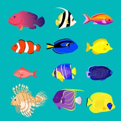 Set of Sea Fish Color Design Flat
