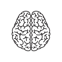 Vector Illustration of Human Brain Outline From Top View
