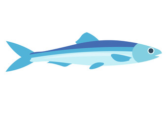 Anchovy vector illustration. Anchovy fish on white background. Anchovy vector. Anchovy illustration. Anchovy fish isolated vector.