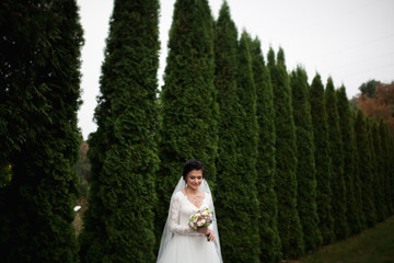 Fototapeta premium Beautiful brunette bride in elegant white dress holding bouquet posing neat trees 