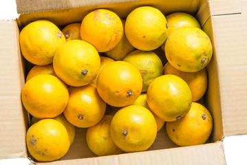 a box of oranges