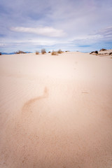 New Mexico Landscapes