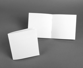 Blank catalog, brochure, magazines, book mock up.