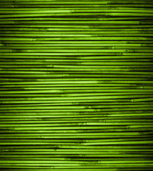 Green bamboo texture with natural patterns, close up.