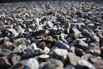 Steinwüste