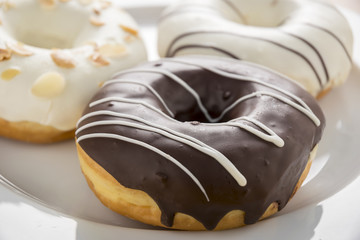 close up of donuts on white plate