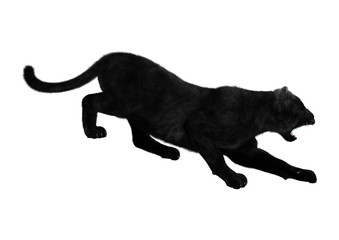 Black Panther on White