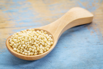 millet grain on wooden spoon