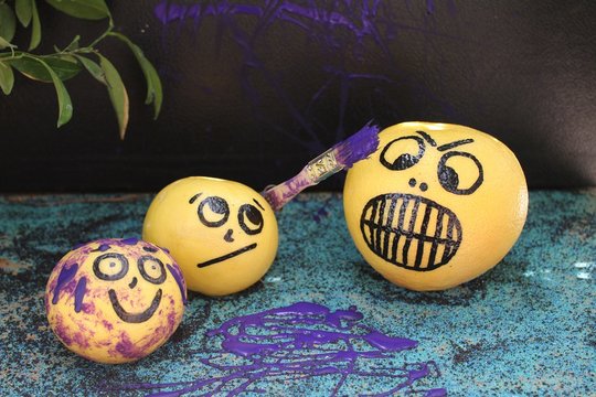 Mischievous Purple Painted Grapefruit.        Funny food photography