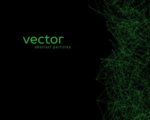 Vector abstract particles