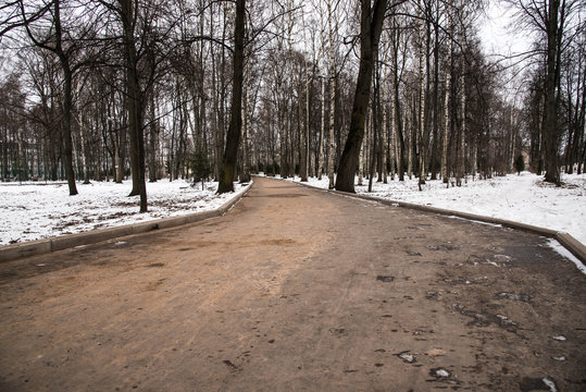 twinter road between the  trees on background of sky