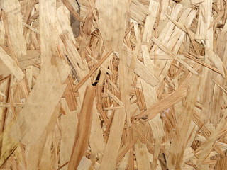 Wooden texture