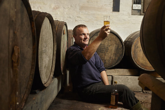 A Man Sitting Among Oak Barrels At A Cider Makers, Raising A Glass And Tasting The Brew,