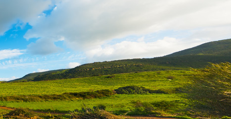 Fototapeta na wymiar green hills under a blue sky with soft clouds