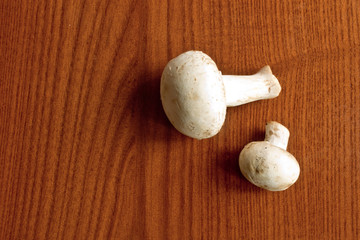 Mushrooms closeup shot on wooden background