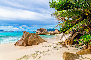 Plakat Tropical beach. The Seychelles