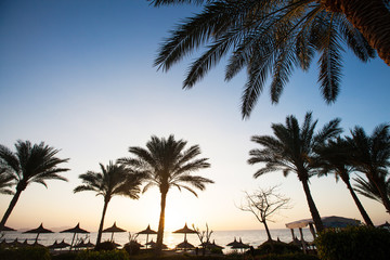 Fototapeta na wymiar Beautiful sunset at a beach resort in tropics with palms and wat