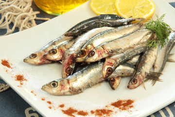sardines 14032016