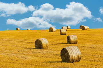 sonniger Tag zur Erntezeit, Strohrollen, Strohballen