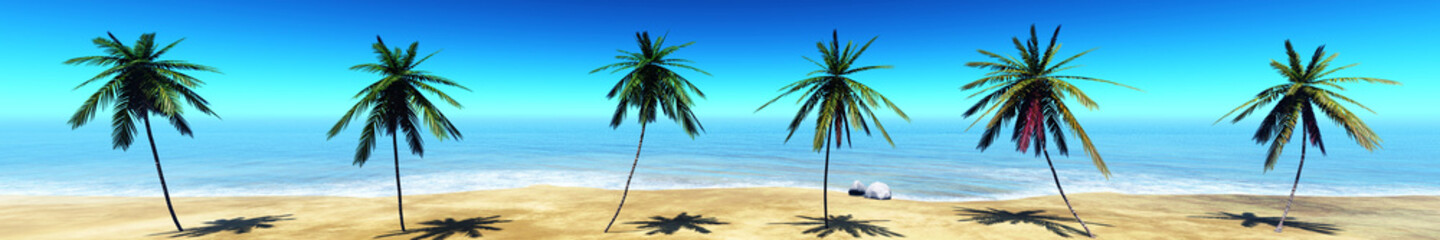 Fototapeta na wymiar Panorama of tropical beach, palm trees on the beach, seascape