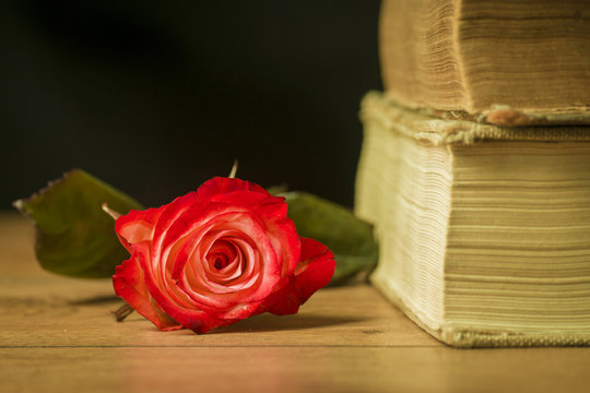 Old books and rose