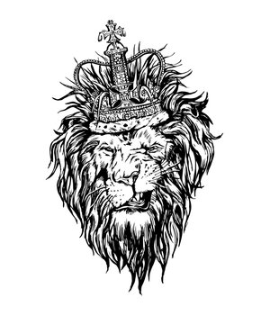 Hand drawn realistic lion in crown character.