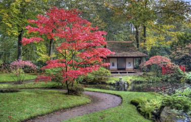 Naklejka premium Japanese Garden