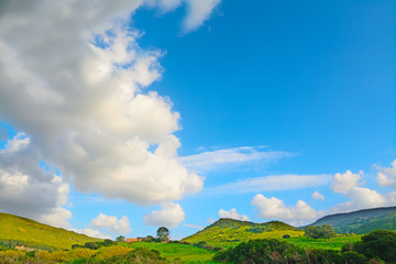 Fototapeta na wymiar white clouds over a green landscape